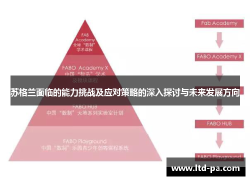 苏格兰面临的能力挑战及应对策略的深入探讨与未来发展方向