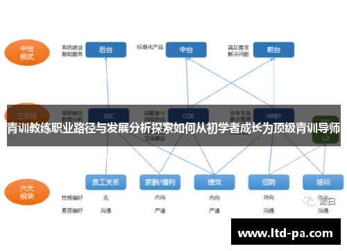 青训教练职业路径与发展分析探索如何从初学者成长为顶级青训导师