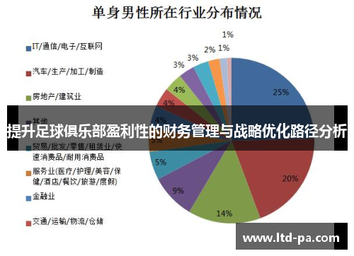 提升足球俱乐部盈利性的财务管理与战略优化路径分析