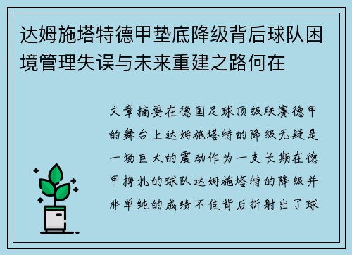达姆施塔特德甲垫底降级背后球队困境管理失误与未来重建之路何在
